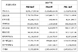 融安如何避免债务纠纷？专业追讨公司教您应对之策